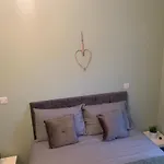 2 Bedroom Cheerful House Close To City Center