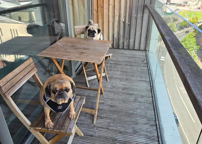 Benji & Milos Apartments