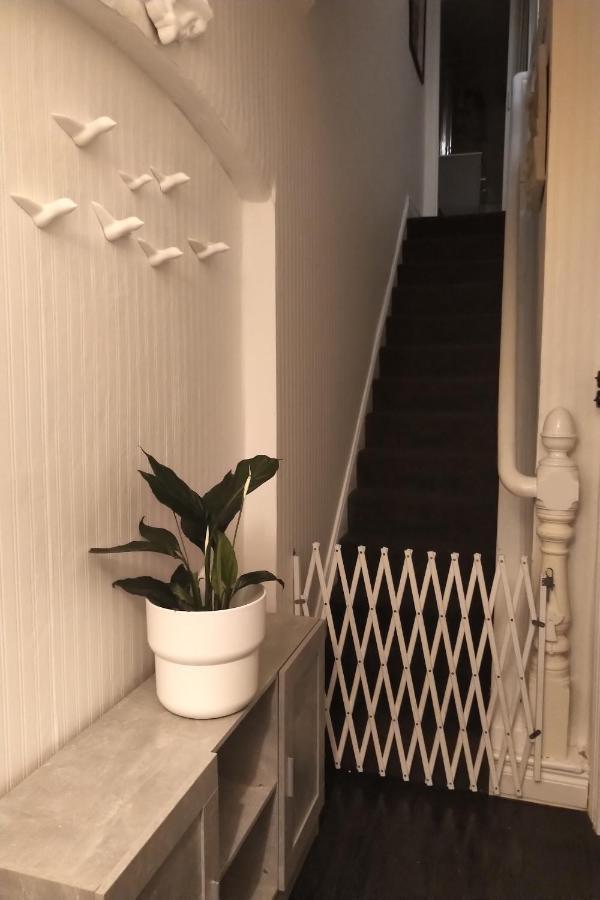 Budget Single Homestay