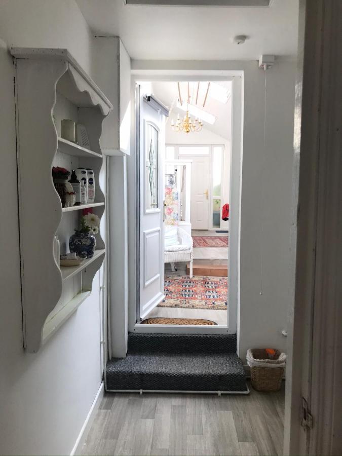 Apartment Garden Snug Belfast