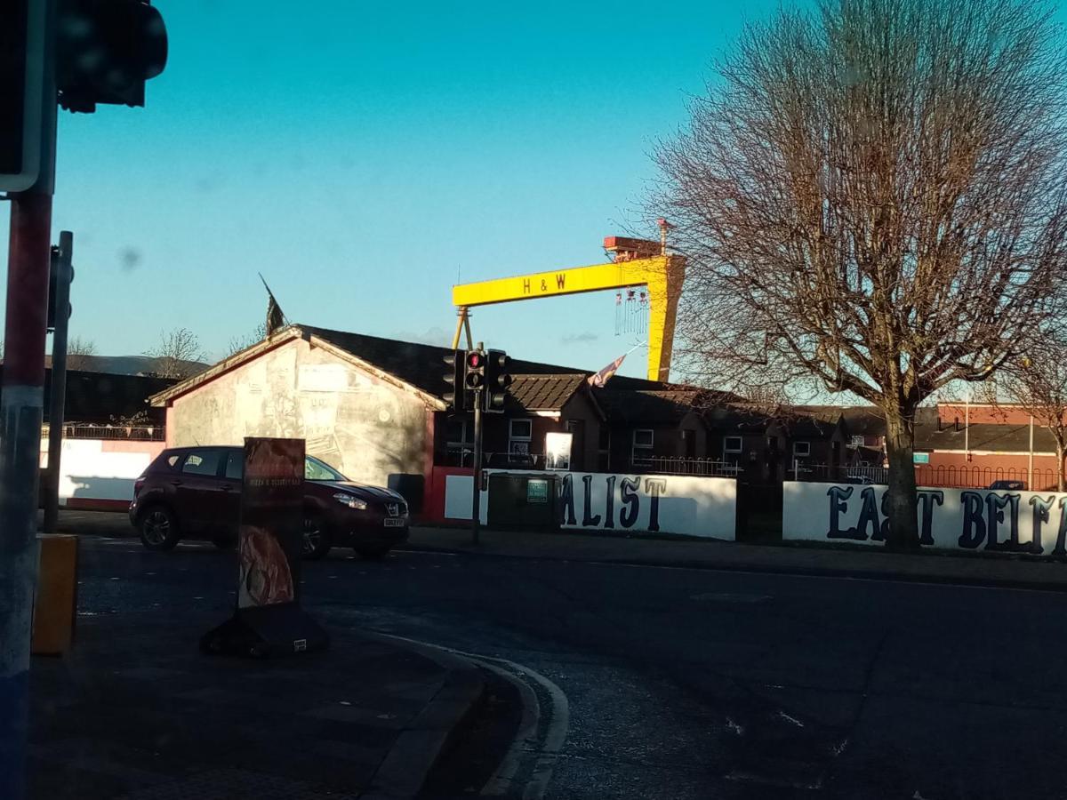 East Available Long Or Short Term Belfast