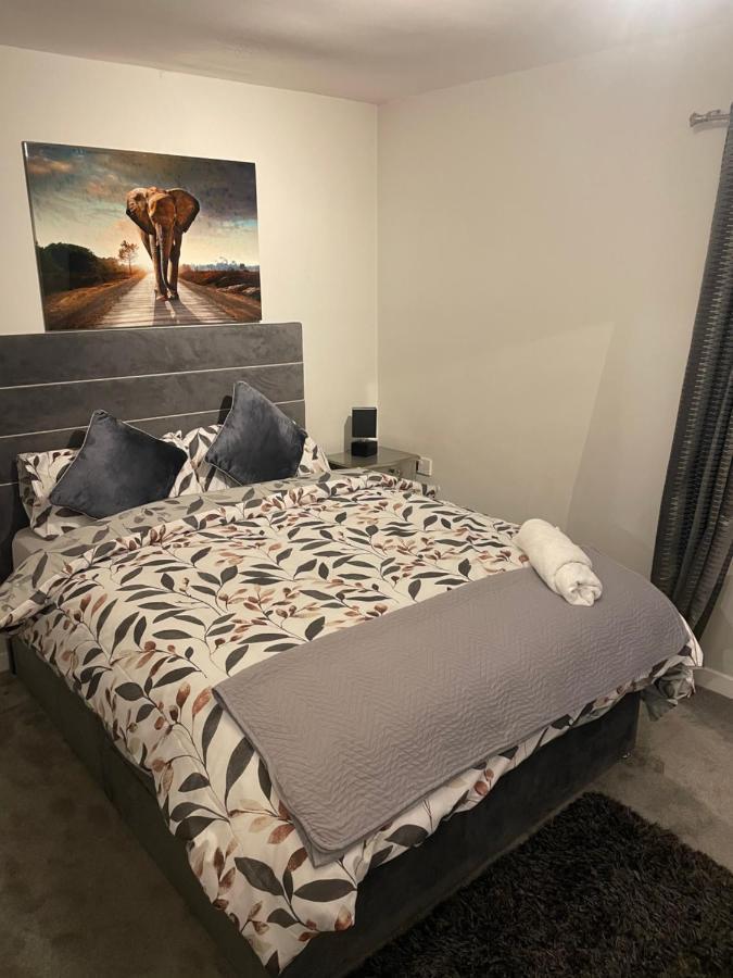 Apartment Fantastic Full 3 Bedroom Modern Belfast