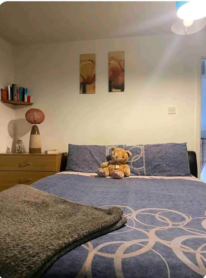 Homestay Castleton Belfast