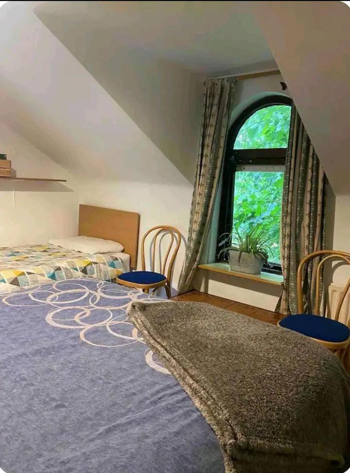 Homestay Castleton Belfast