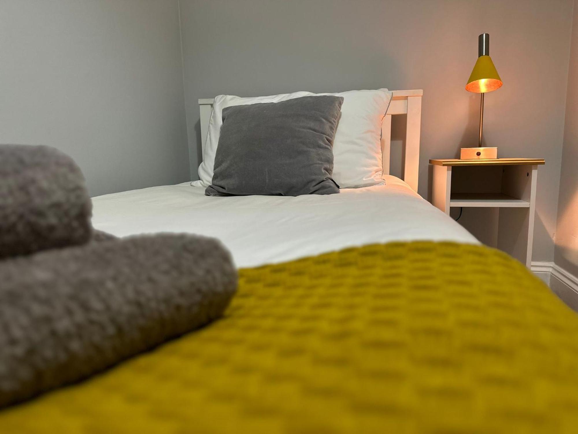 The Beaver House Apartment Belfast
