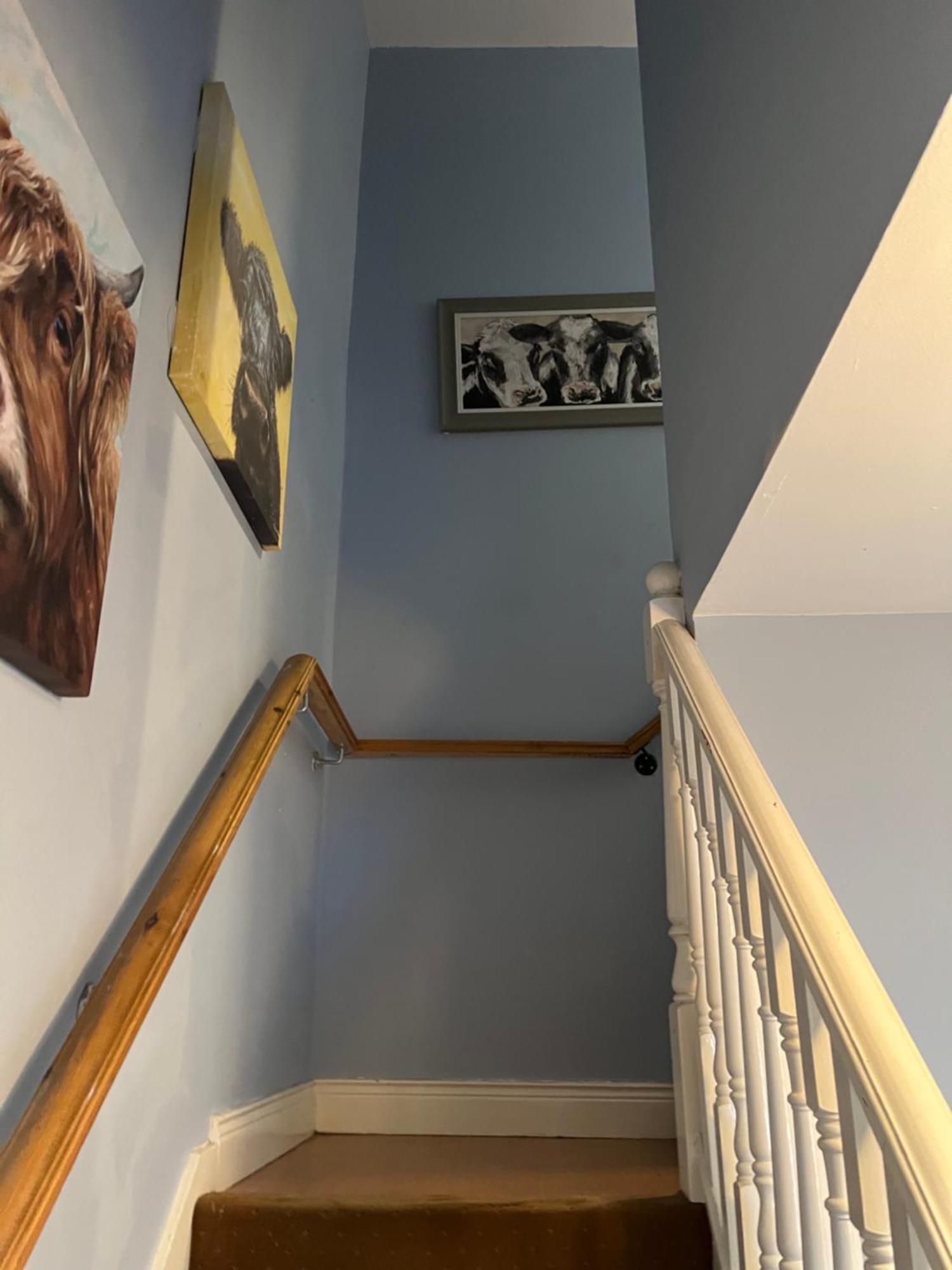 11 Parkmore Street, Ormeau Road, Belfast, Bt7 2gt, 2 Bedroom House * Belfast
