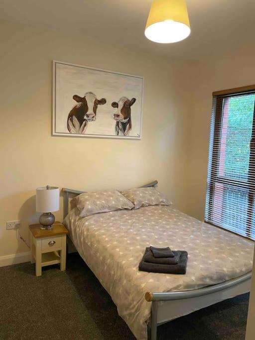 Villa Close To Centre.modern Opened Planned Belfast