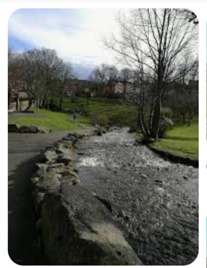 Allworthy Heights Holiday home Belfast