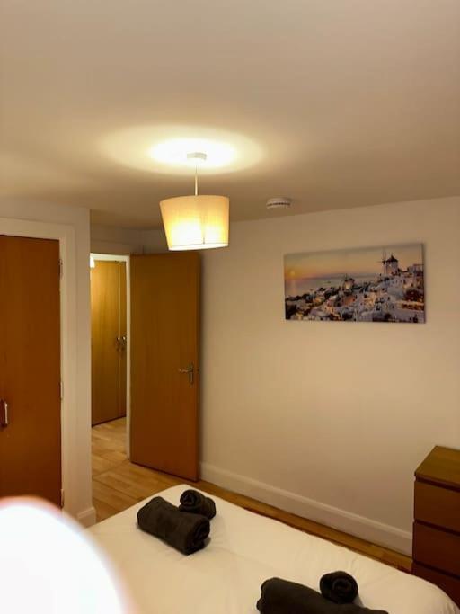 Flat In Belfast