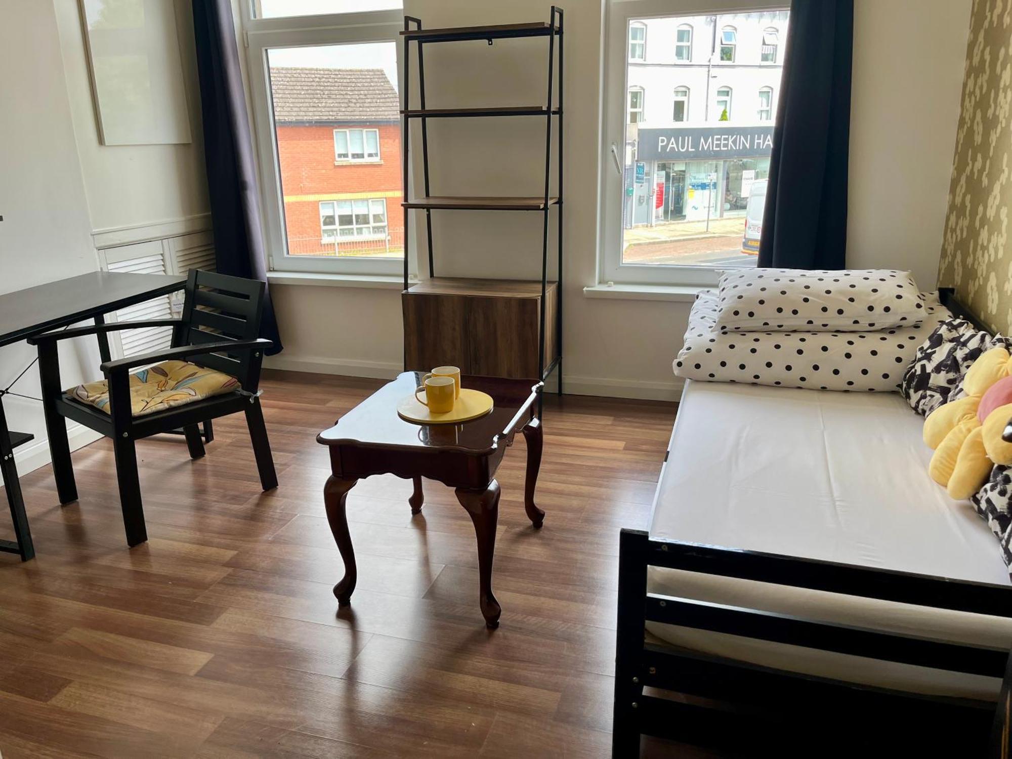 Apartment Entire Yellowapt Near Centre - Free Parking - Up To 3 Guests - 2 Beds Belfast