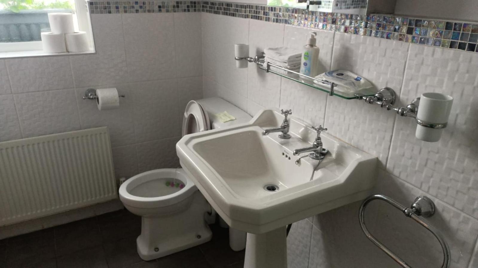 Mount Royal Victorian Apartments Self Catering Apartment Belfast