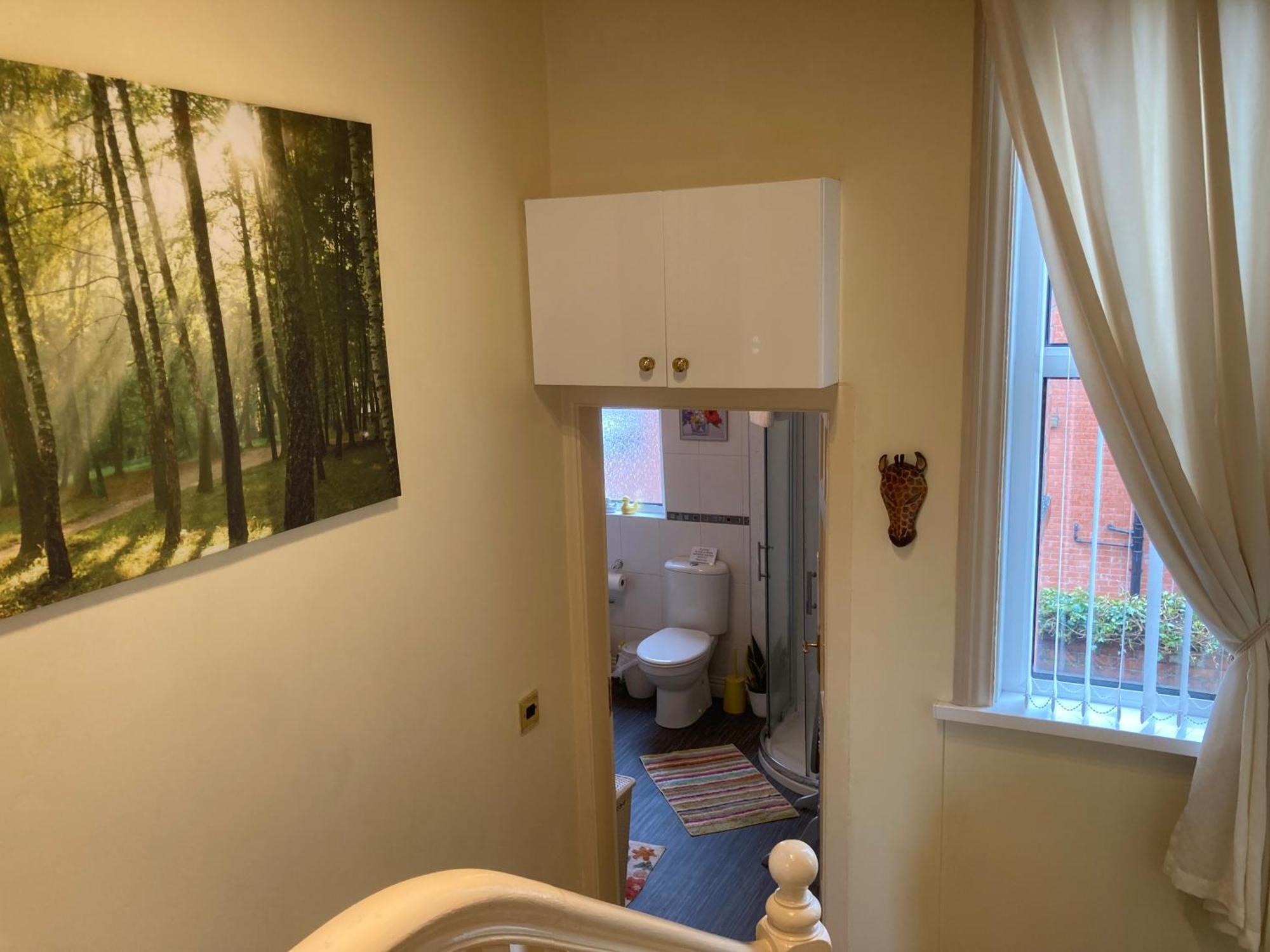 Mount Royal Victorian Apartments Self Catering Apartment Belfast