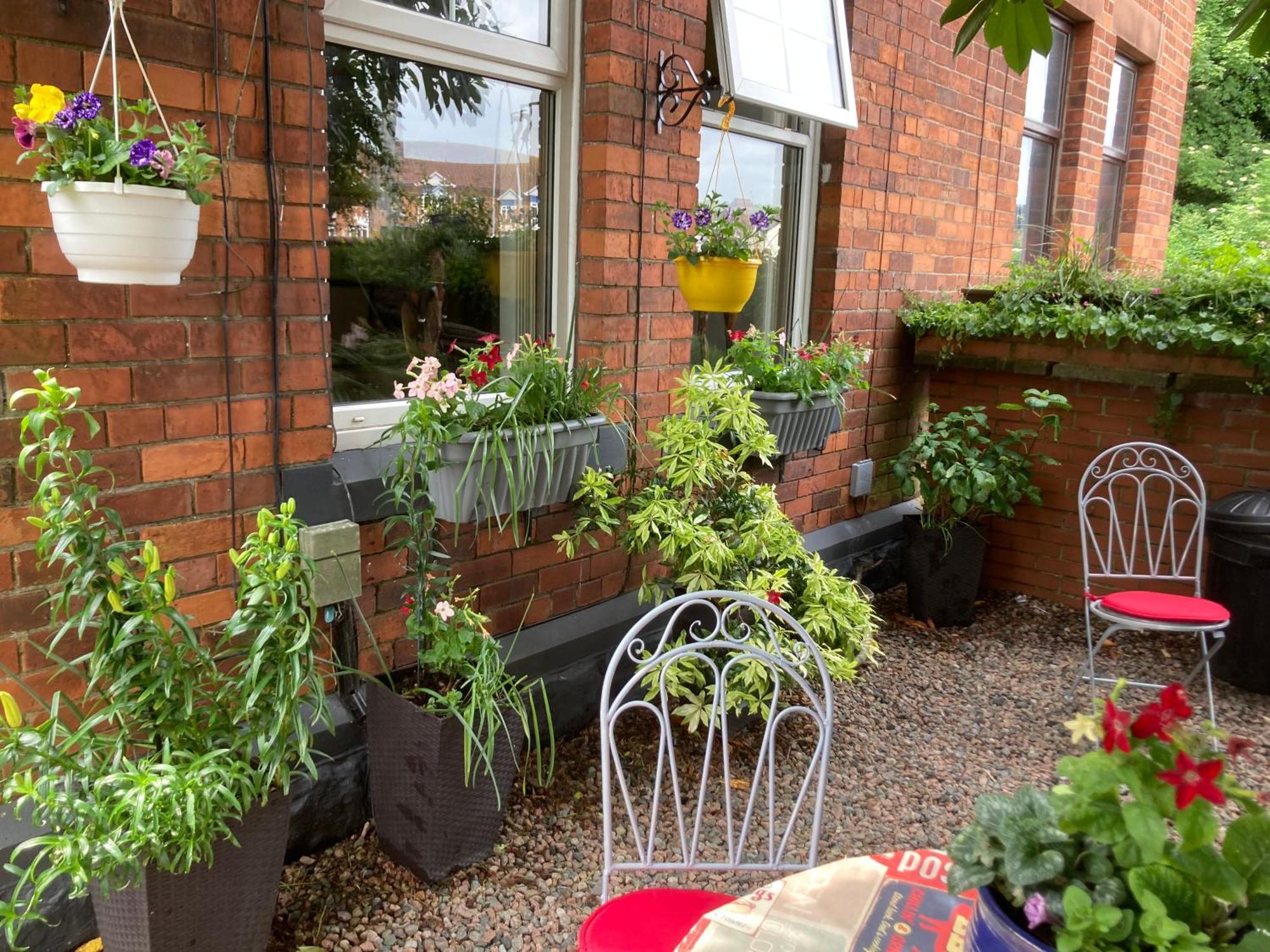 Mount Royal Victorian Apartments Self Catering