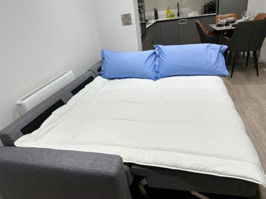 Aqua Dreams -serviced Luxury Apartment, Coyles Place At Portland 88 Belfast