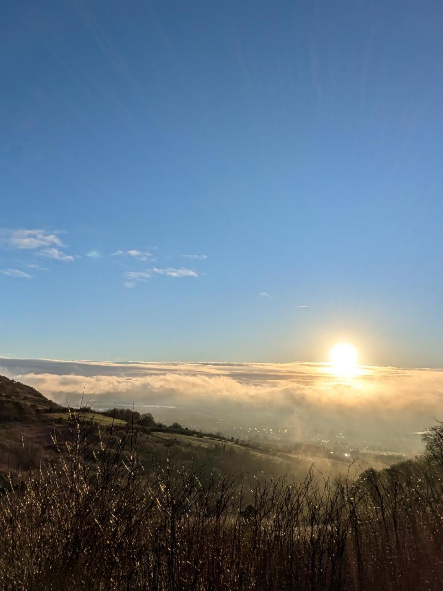 Cavehill View *