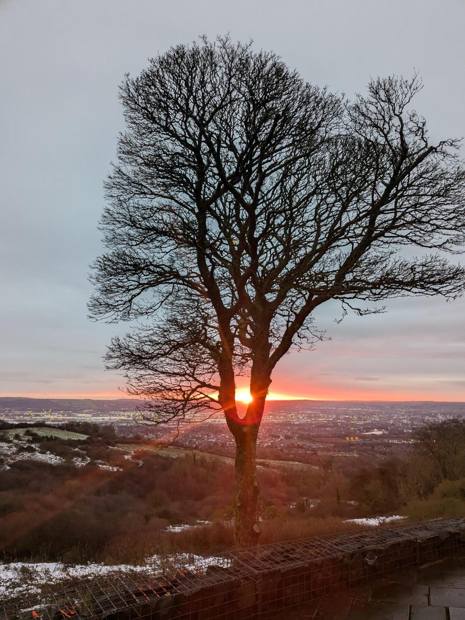 Cavehill View *