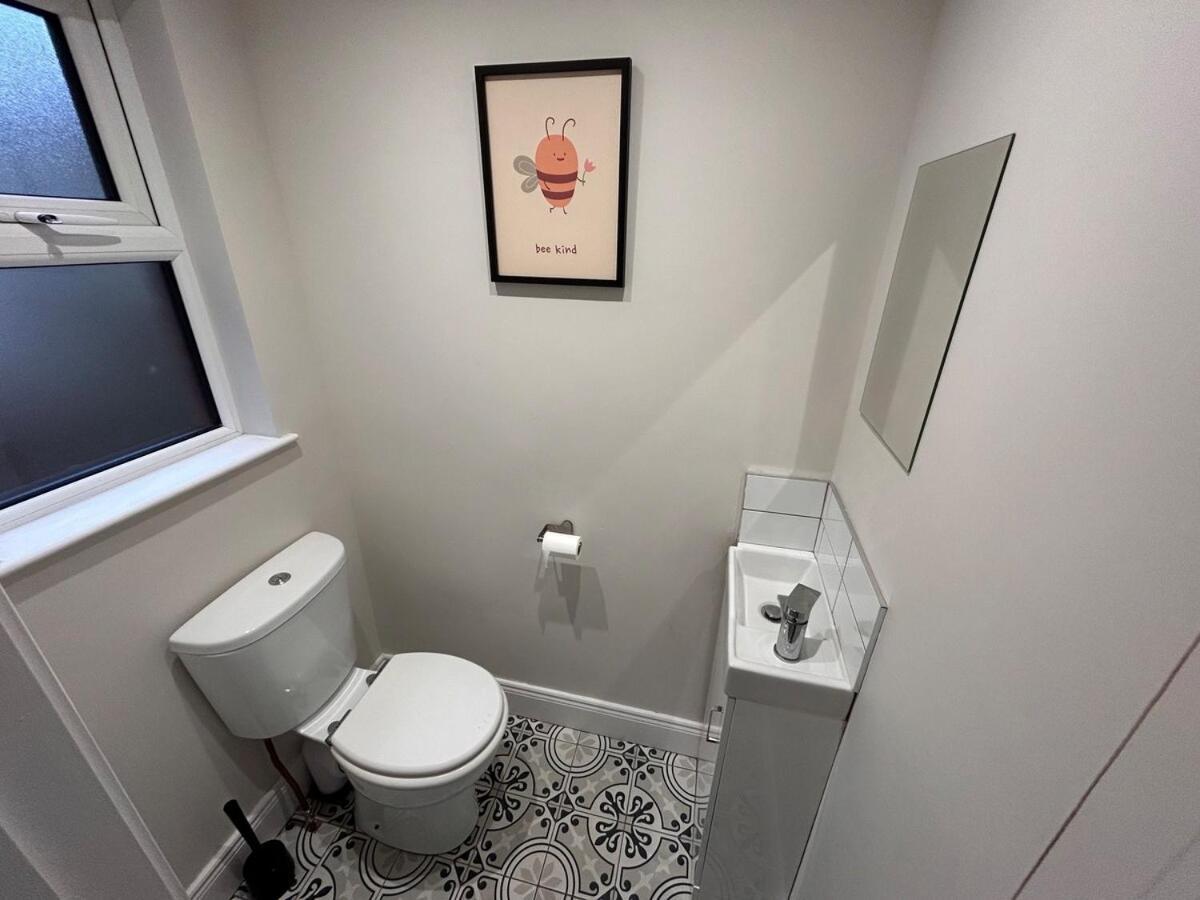 Luxurious, Newly Renovated, Victorian Belfast