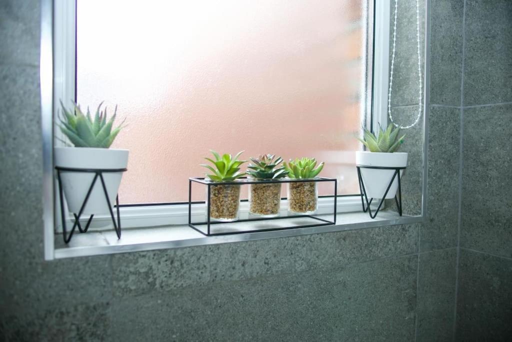 Modern Terrace House