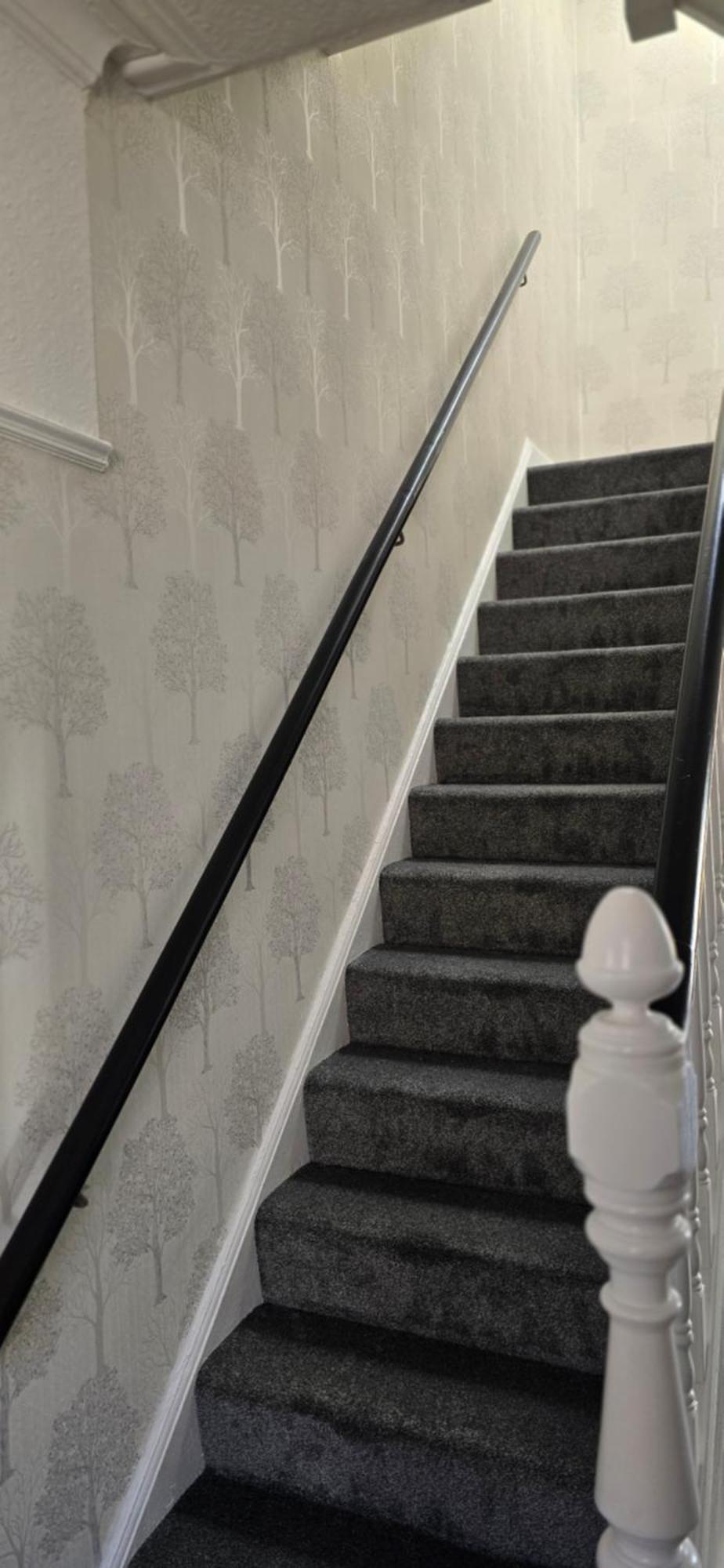 Homestay Alexandra Park House Belfast