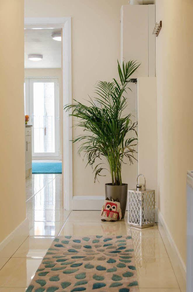 Giant Serviced Apartment