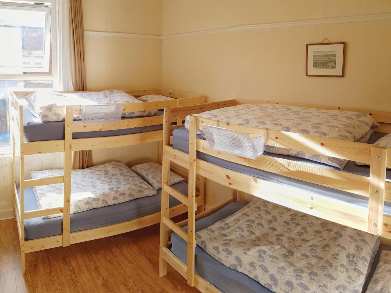 Botanical Backpackers * Belfast