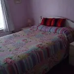 Comfy Wee House