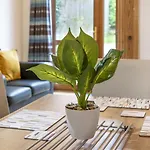 Pass The Keys Lovely 4Br Home W Garden 7 Min From City Centre