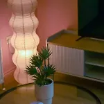 Central Belfast Apartments: Botanic