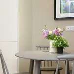 The Perfect Stay Belfast