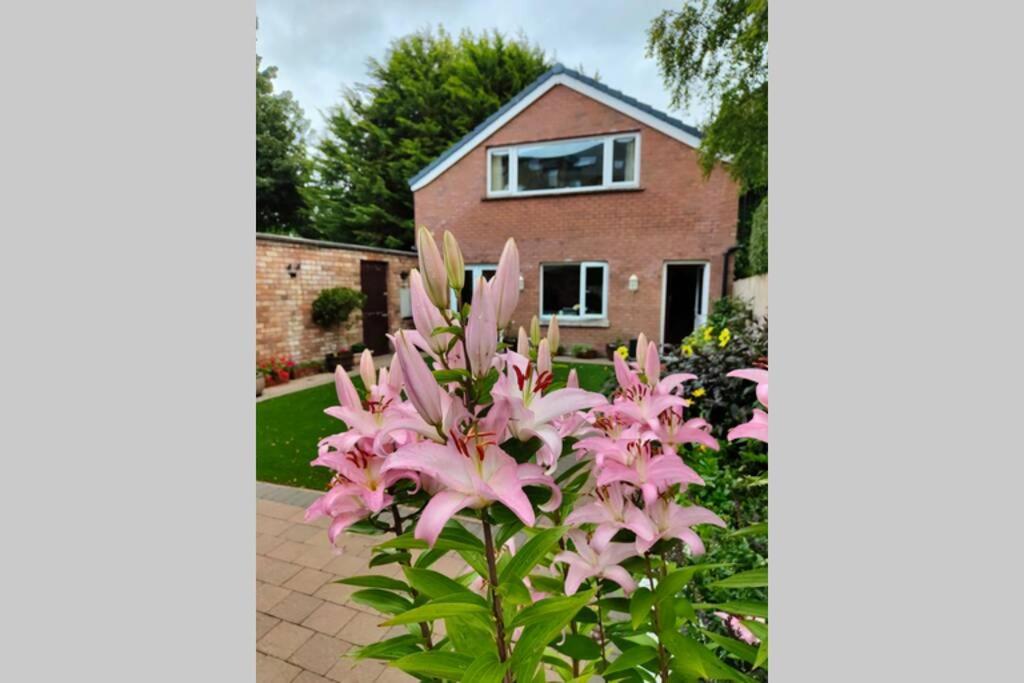 Bt 9 Granny Flat & Walled Garden Apartment Belfast