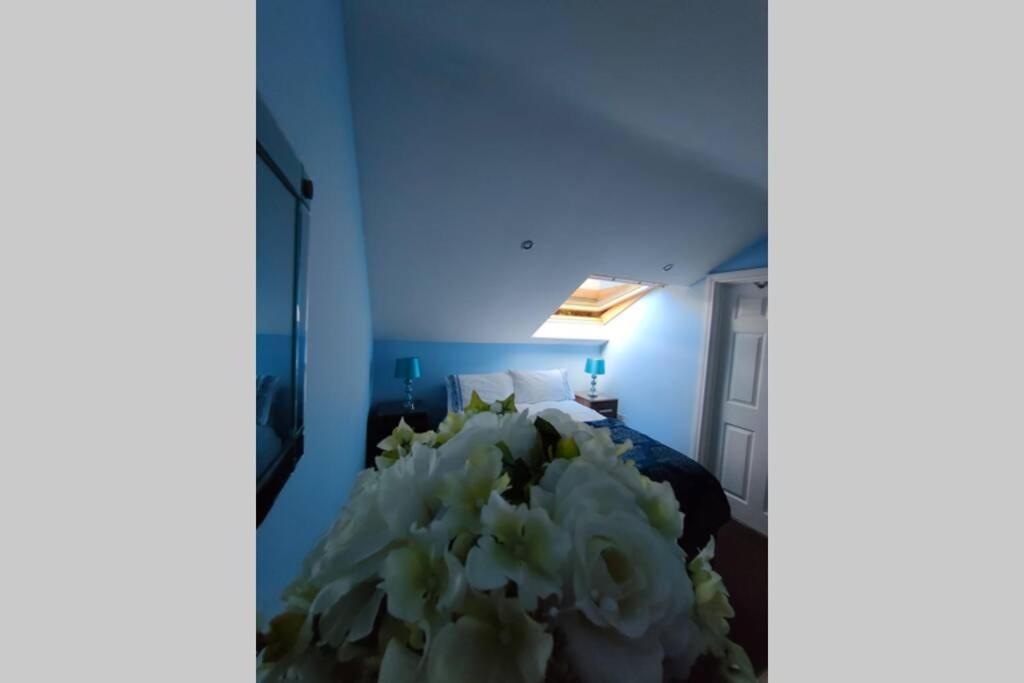 Bt 9 Granny Flat & Walled Garden * Belfast