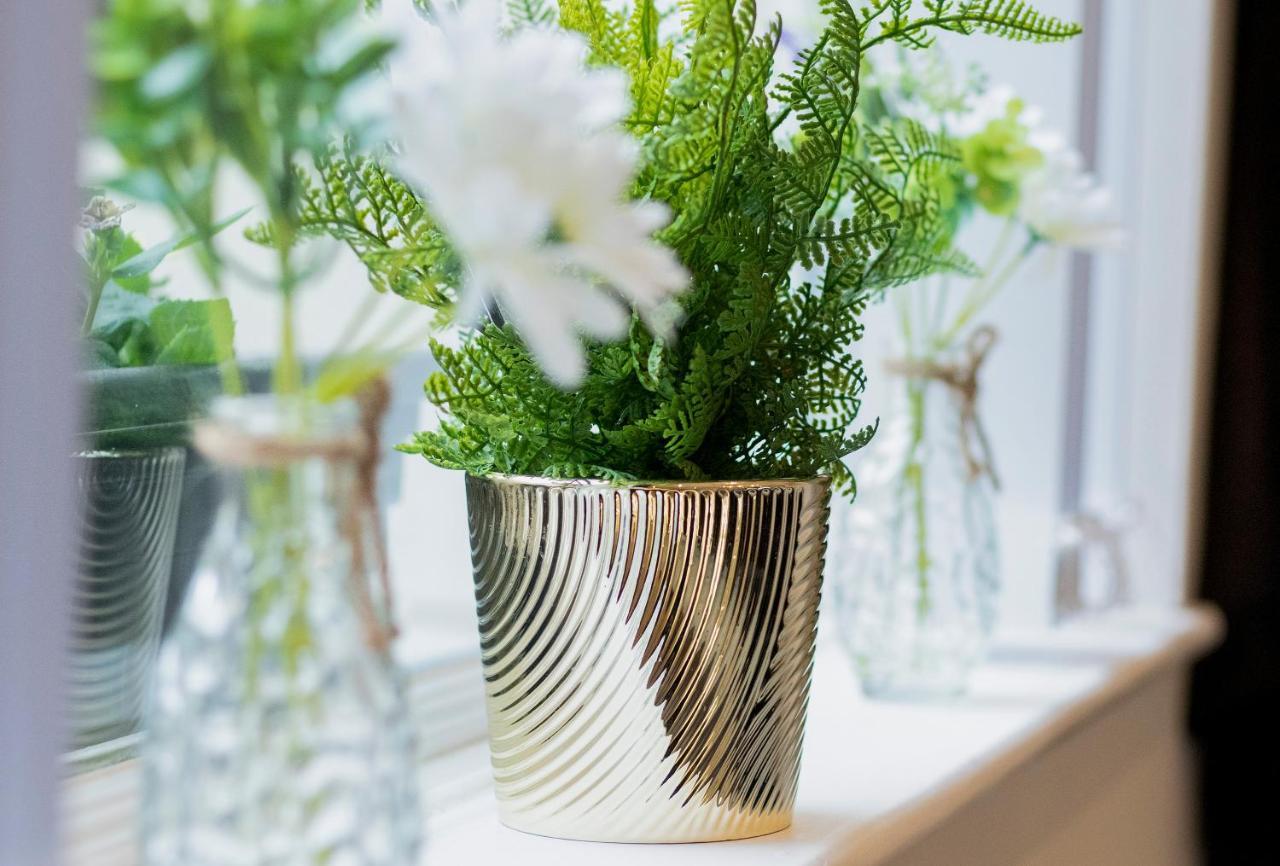 The Boutique Cozy (adults Only) Holiday home *