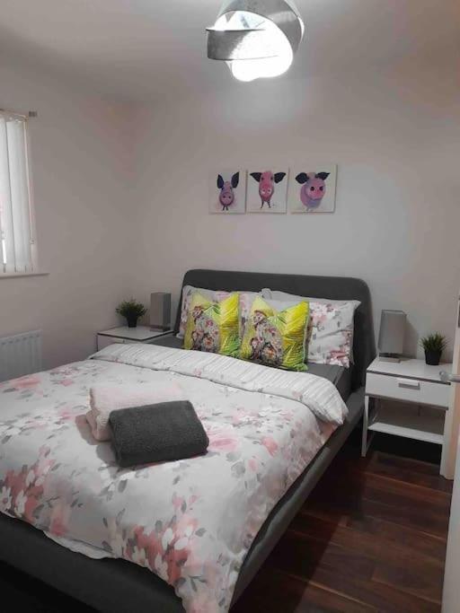 Belfast Apartment * Belfast