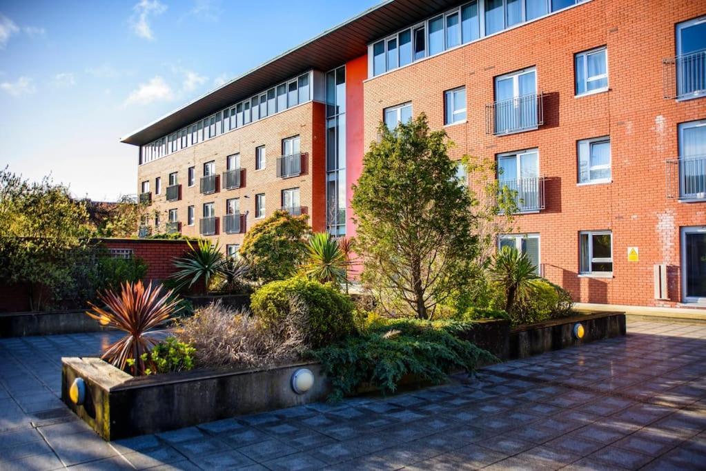 Fabulous Modern Luxury Sleeps 6- Parking *