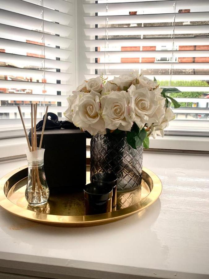 Apartment Cosy Terrace House Belfast