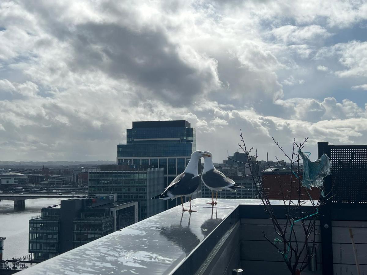 Clow * Belfast