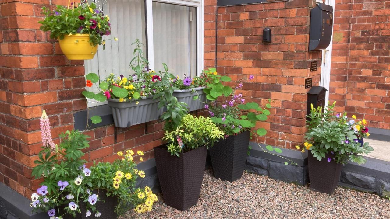 Mountroyal Victorian Self Catering Apartment 2 Apartment Belfast