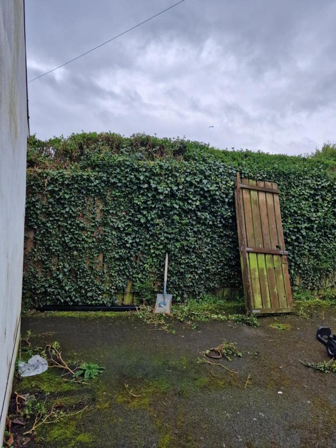 Hostel Aunty Katie'S House, Ni Tourist Board Certified & Located On The Main Oldpark Road To Belfast, With Free Continental Breakfast & Free Ultra Fast Sky Internet, Free Sky Sports & Free Sky Cinema, Self-Check In After 10Pm Gmt *