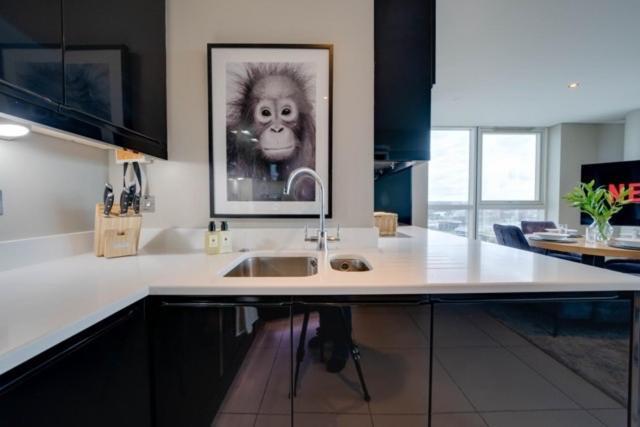 Tallest Building In The Centre Sleeps 5 Incredible Mountain And Lagan Views *