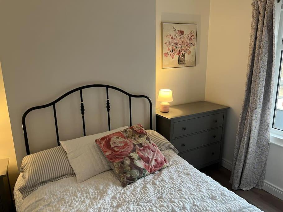 Charming Victorian Terrace, South Holiday home Belfast