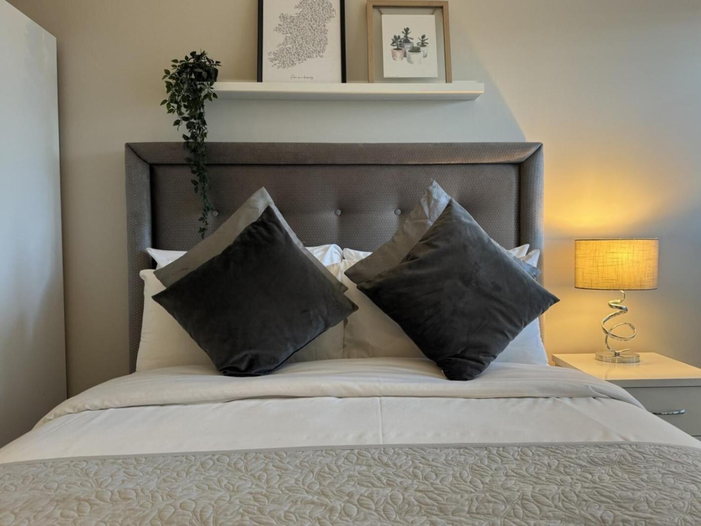 Apartment Sandford Belfast