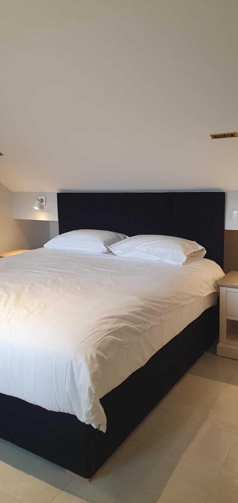 Moxie Luxury * Belfast
