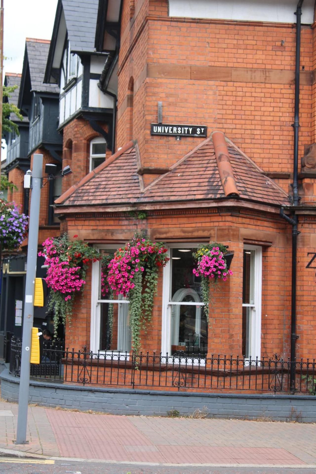 Moxie Luxury * Belfast