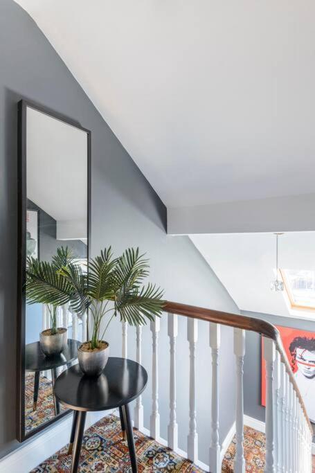 Homestay Gorgeous Homestay Belfast