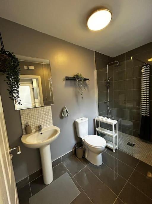 Vibrant Centre Townhouse With Free Parking Rare Outdoor Patio Belfast