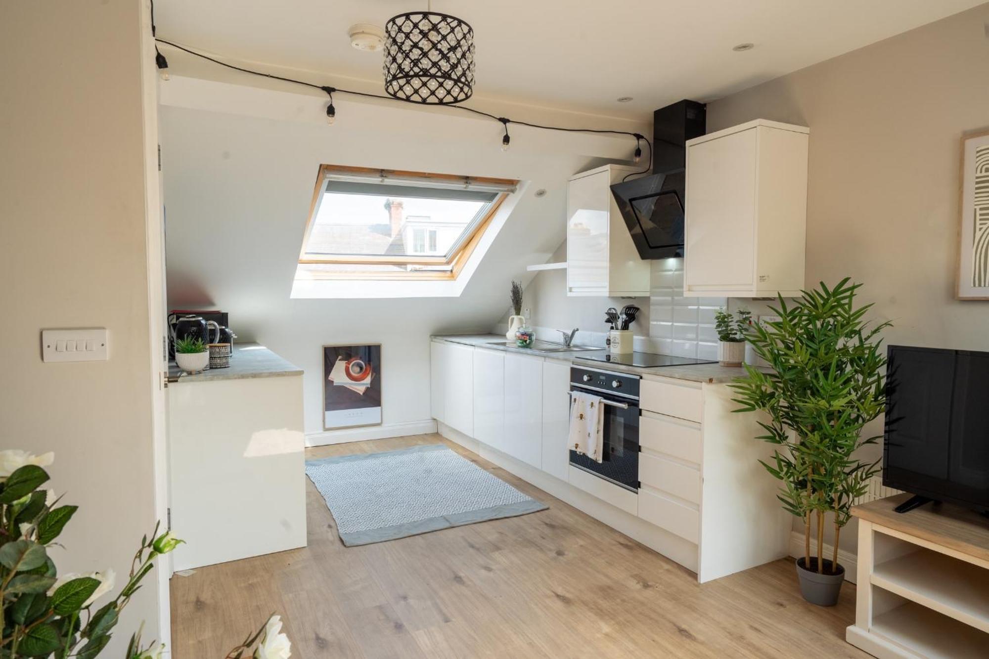 The Botanic Way - Centre Duplex With Free Parking And Views Belfast
