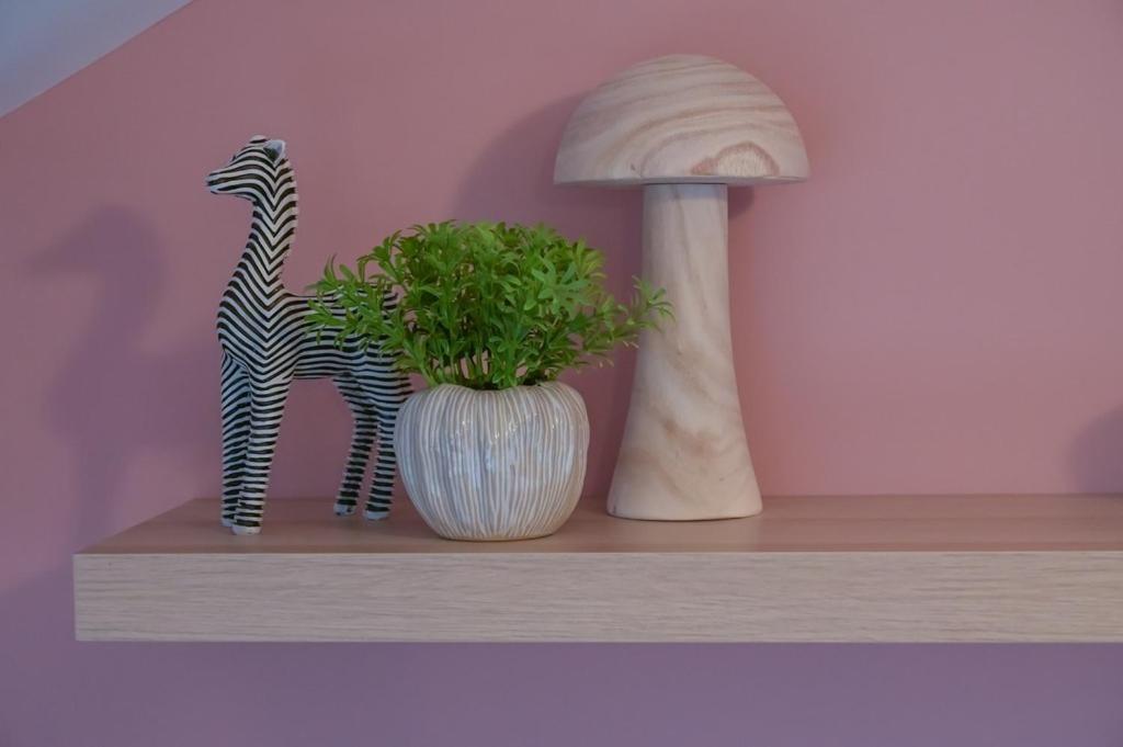 Apartments: Botanic Apartment Belfast