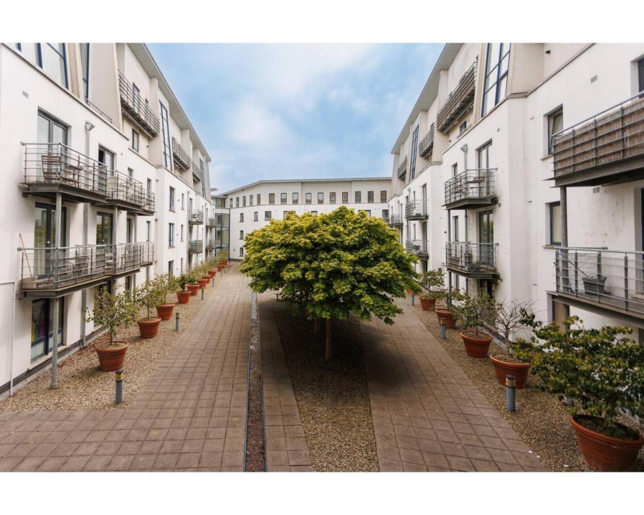 Queen's Quarter *
