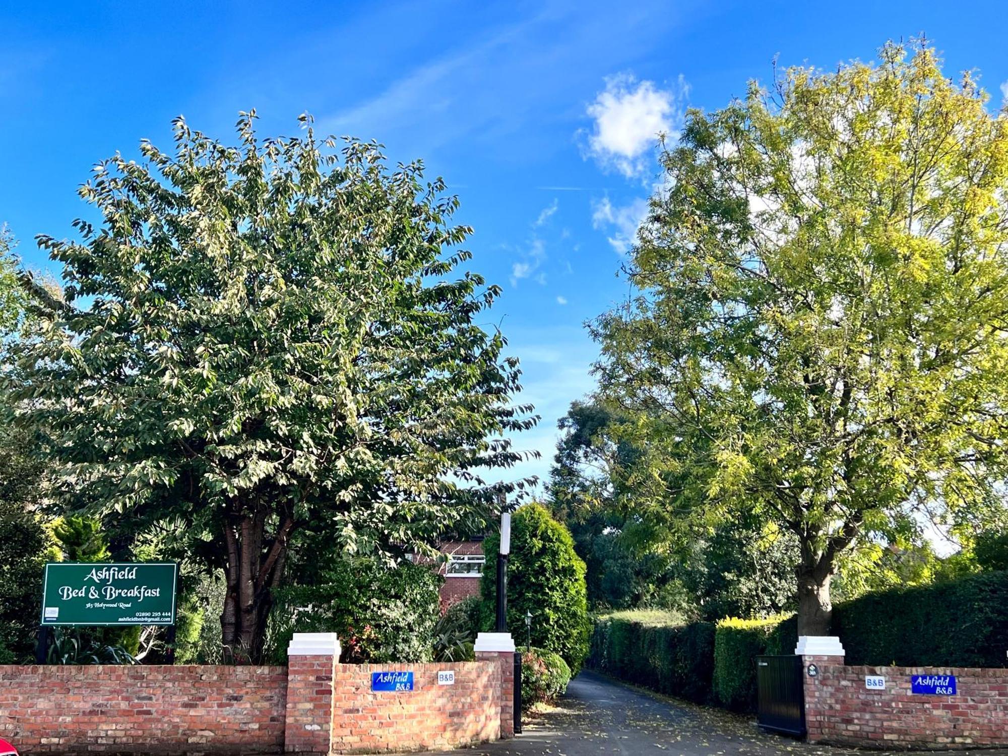 Bed & Breakfast Ashfield Belfast