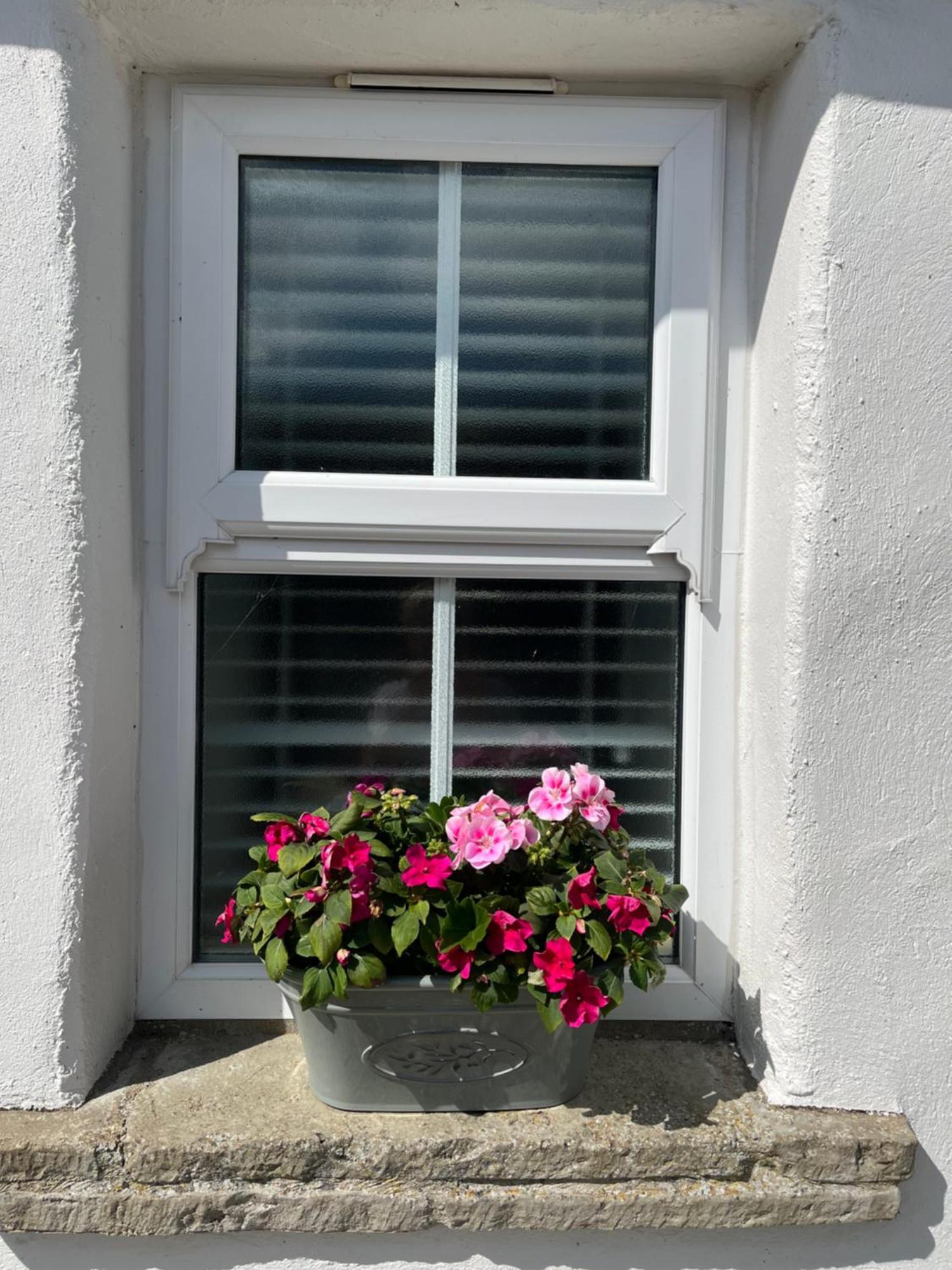 The At Ashbrook - Charming Country Near Holiday home Belfast